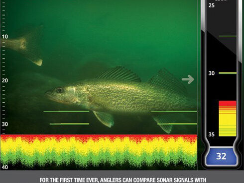 LX-9 sonar display, walleye background