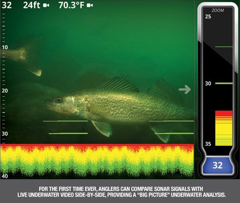 LX-9 sonar display, walleye background