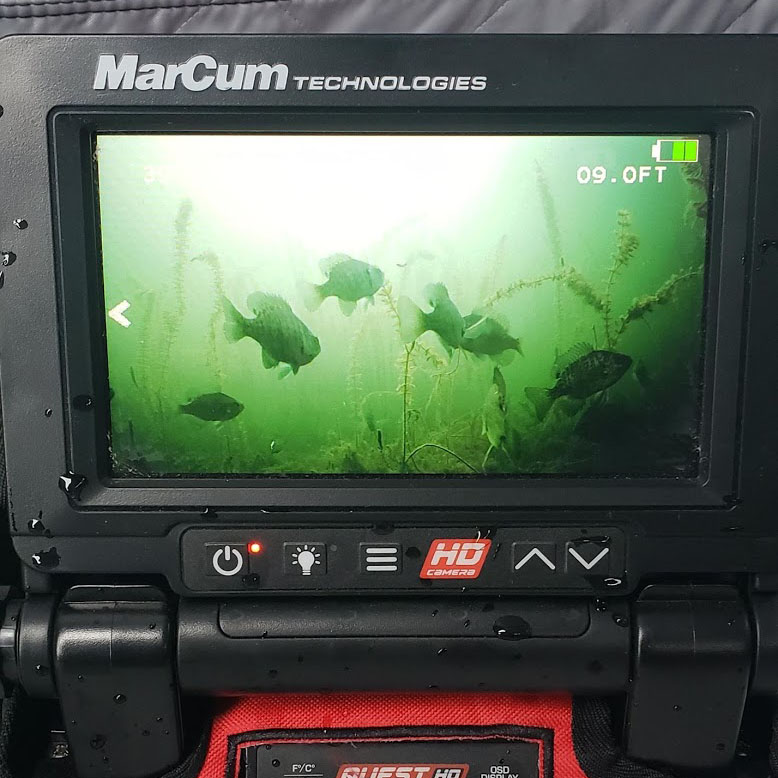 MarCum®Quest HD L  Lithium Underwater Camera for Fishing