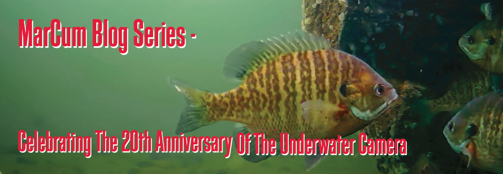 20th Anniversary of the Underwater Camera - Joel Nelson UW Camera