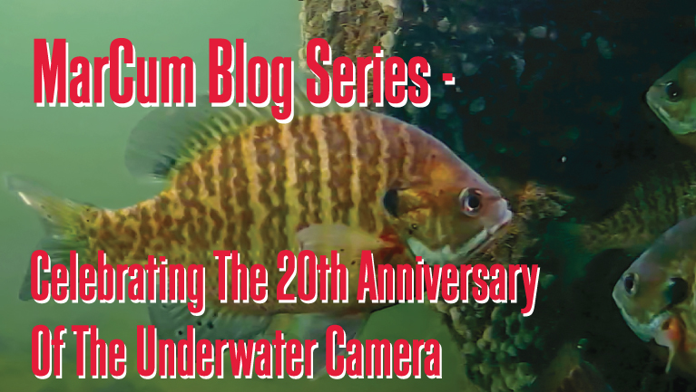 20th Anniversary of the Underwater Camera - Joel Nelson UW Camera