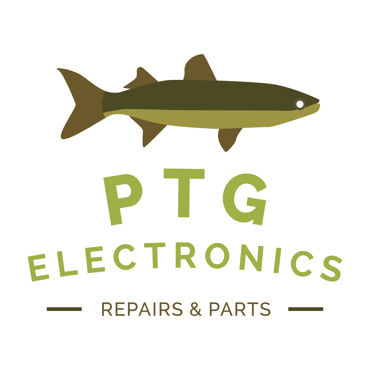 PTG Electronics