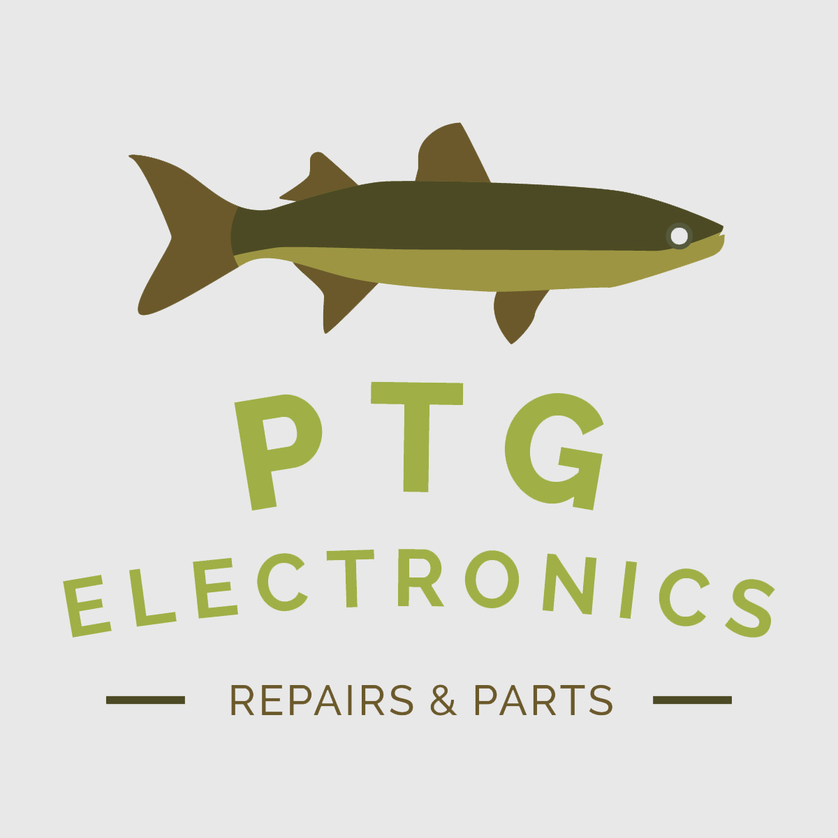 PTG Electronics