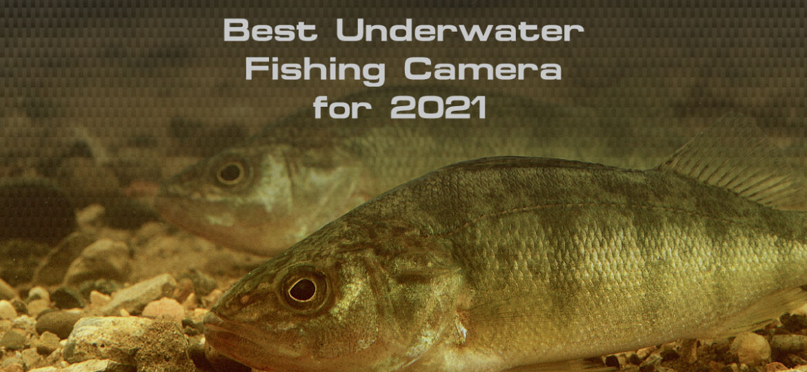 The Best Underwater Camera for 2021