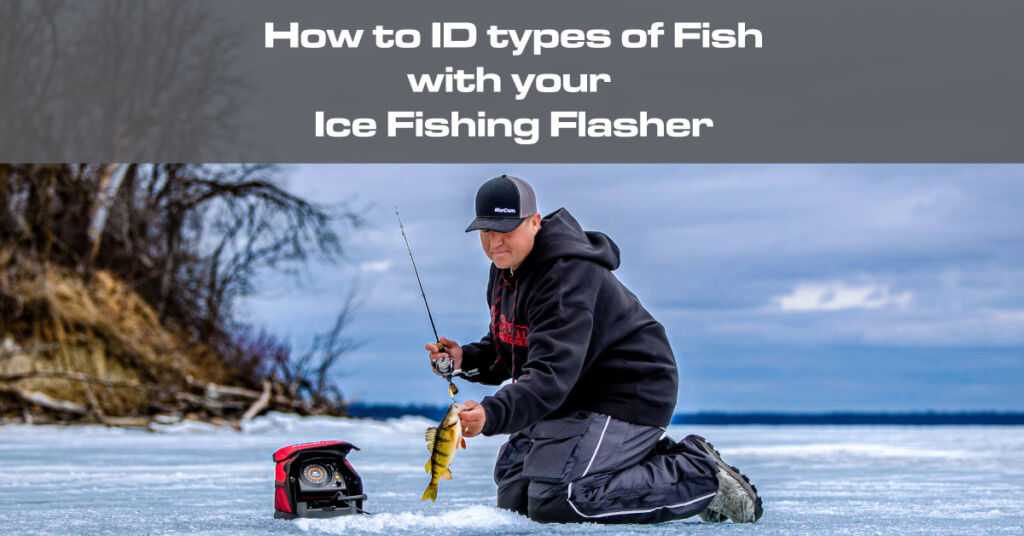 How to ID types of Fish with your Ice Fishing Flasher