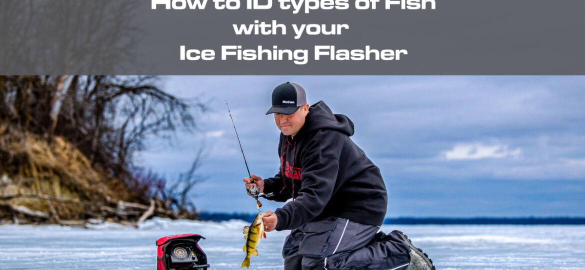 How-to-ID-types-of-Fish-with-your-Ice-Fishing-Flasher