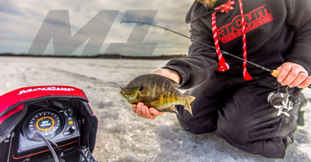 Seasoned anglers categorize their choices. Ice Fishing Walleye