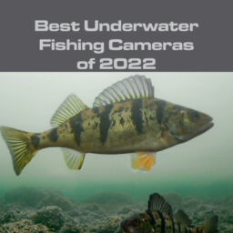 The Best Underwater Camera for 2022
