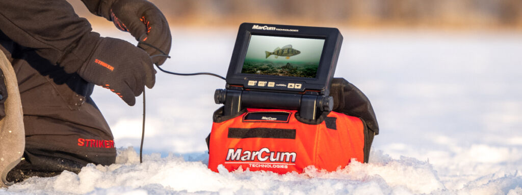 Jumbo Perch scouting with an underwater camera