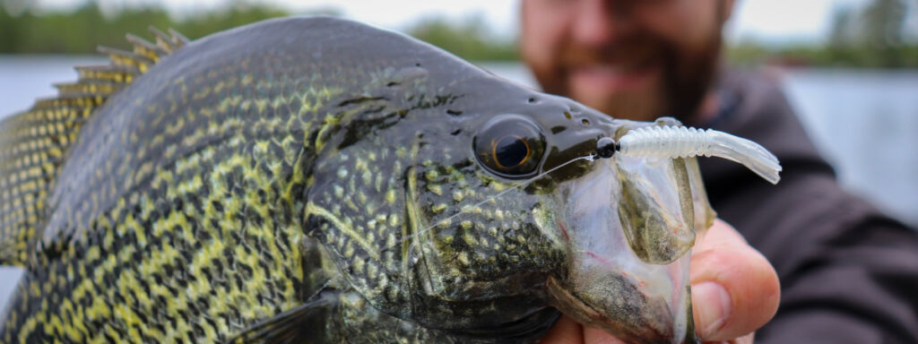 AMAZING Crappie Fishing Plastics  Catch More Crappie Through The Ice 