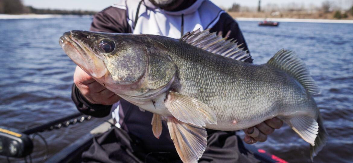 RAINY RIVER, YOUR FIRST CHANCE AT OPEN WATER WALLEYE