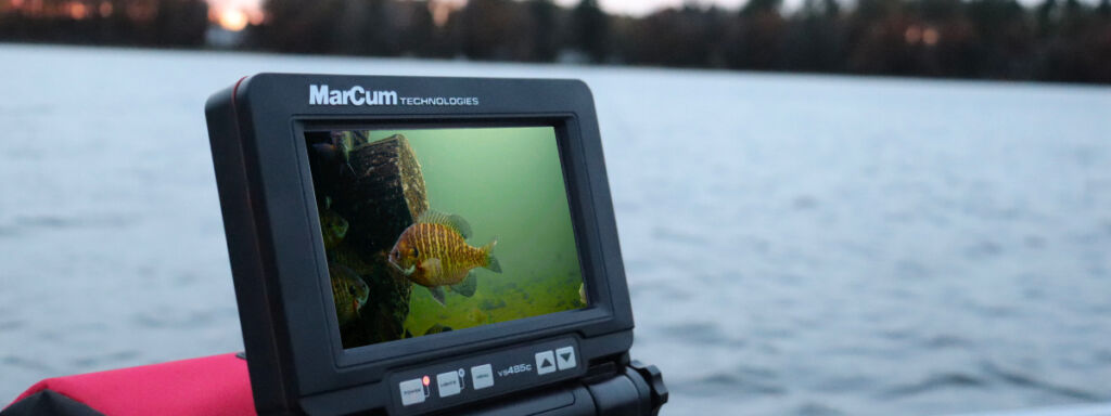 With the help of an underwater camera, an angler can uncover what species they’re actually viewing from above the surface.