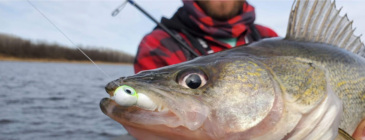 Power Fishing For Early Season Walleye