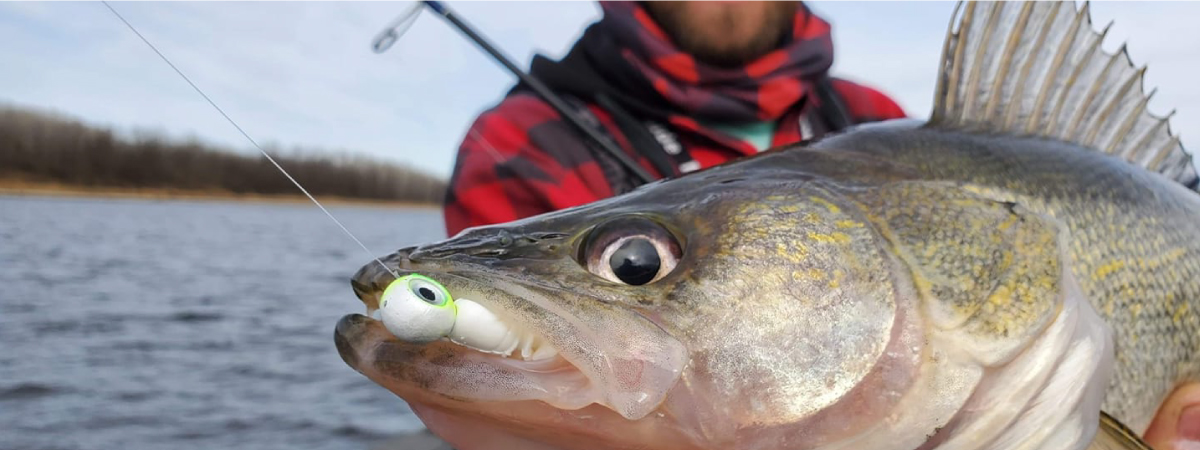 Simple shore-fishing rig for fall walleyes – Target Walleye