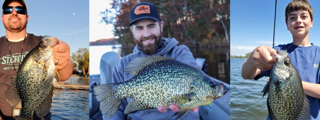 Pre and Post Spawn Panfish Patterns