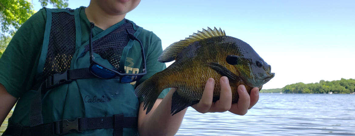 Pre and Post Spawn Panfish Patterns