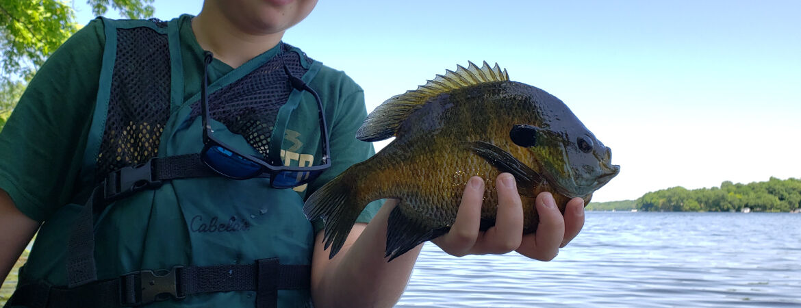 Fishing 101: Panfish