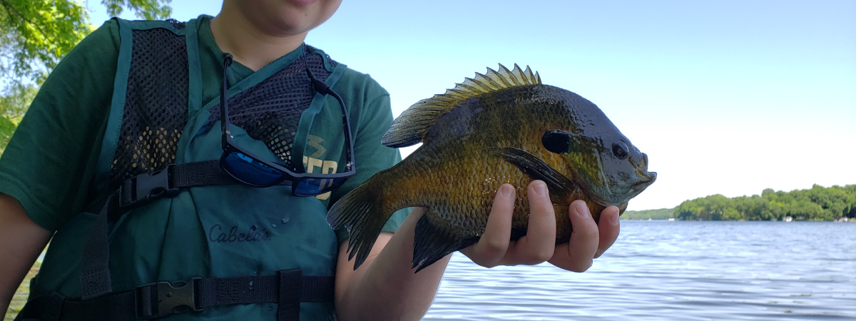 Pre and Post Spawn Panfish Patterns