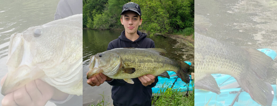 How to target Largemouth Bass in June
