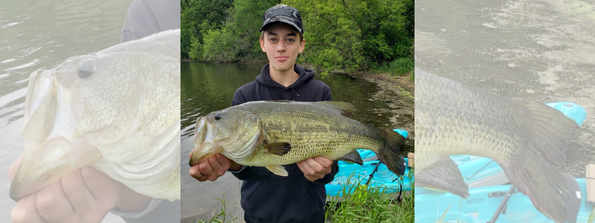 How to Target Largemouth Bass in June