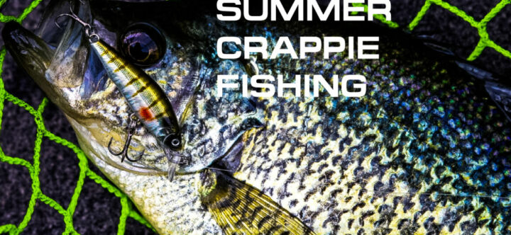 Fishing Summertime Crappies