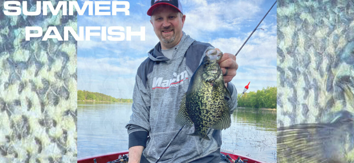 Fishing for Summer Crappies  What it Looks Like Underwater