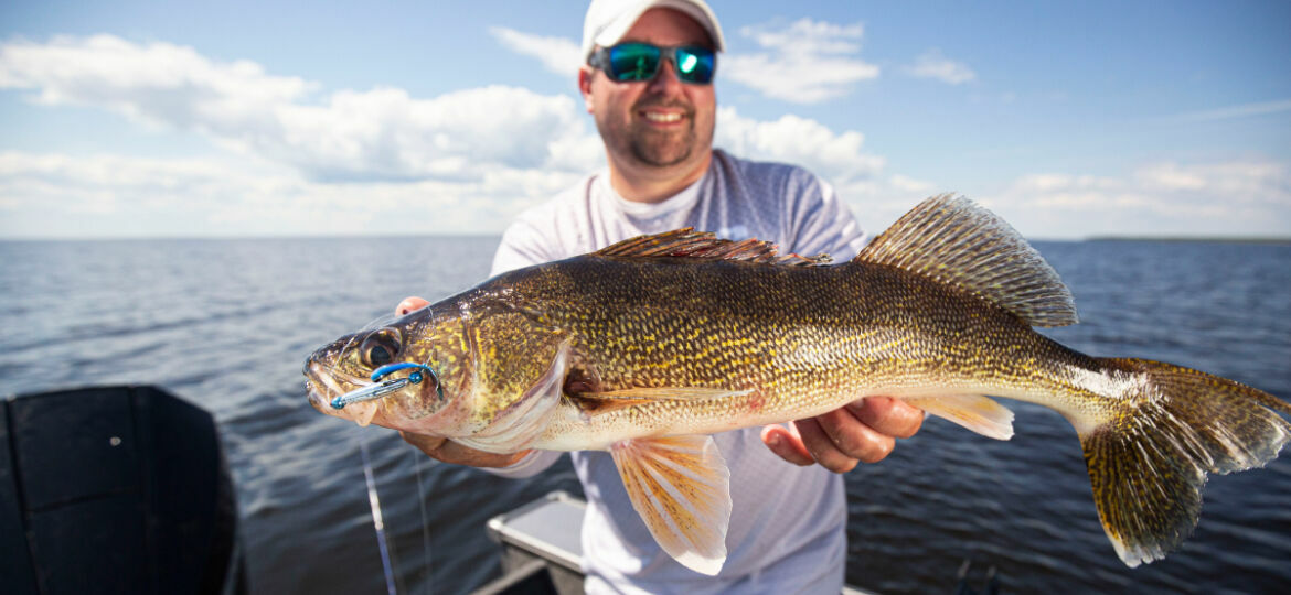 The BEST Way to Store Your Crawler Harnesses for Walleye Fishing 