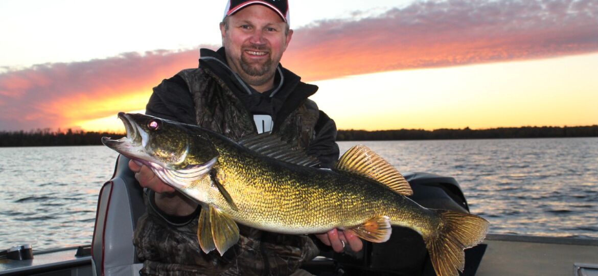 Steve Fall Walleye Cover