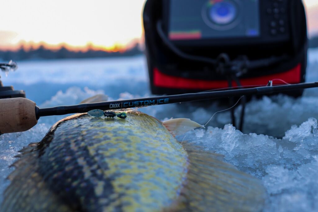 Ice Fishing for Lake Trout  - To three techniques on the iceLive