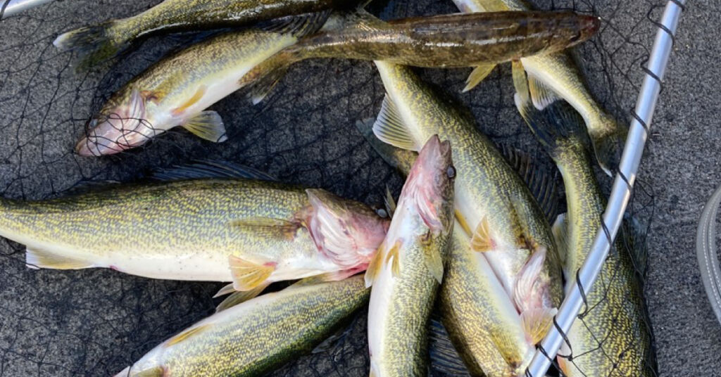 How to trick-out your ice fishing lures to increase your catch