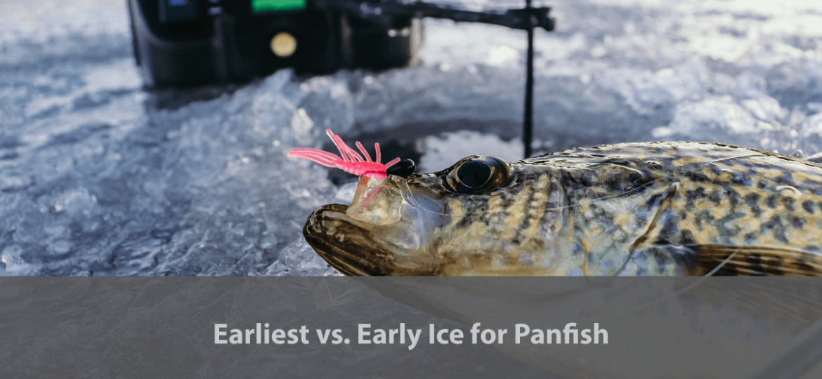 Early Ice Panfish